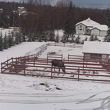 Alaska Sundance Retreat Bed & Breakfast Anchorage Extérieur photo